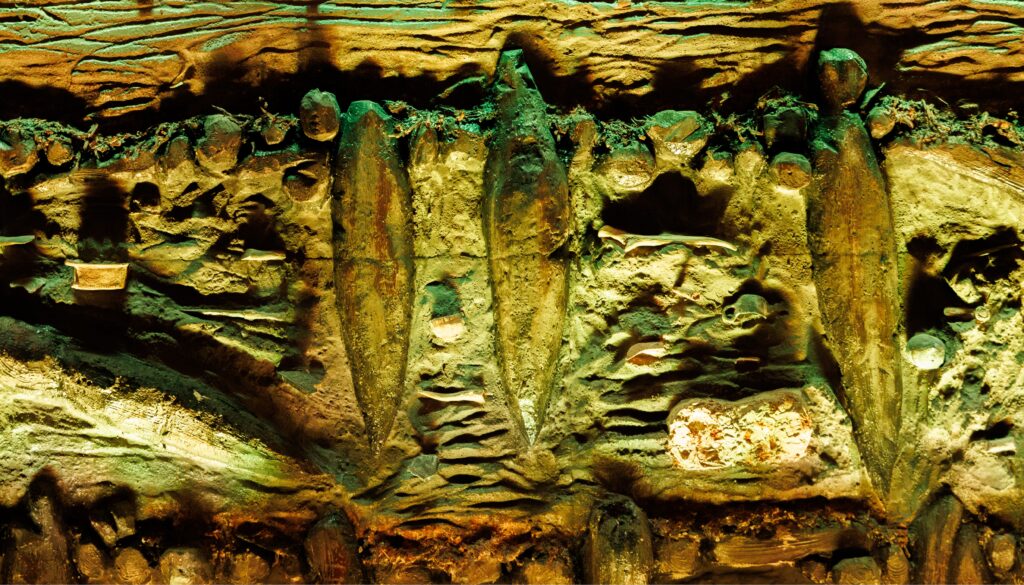 Primo piano di antiche tracce digitali, o 'finger flutings', incise su una parete rocciosa umida all'interno delle Grotte di Pertosa-Auletta, illuminate da una luce calda.